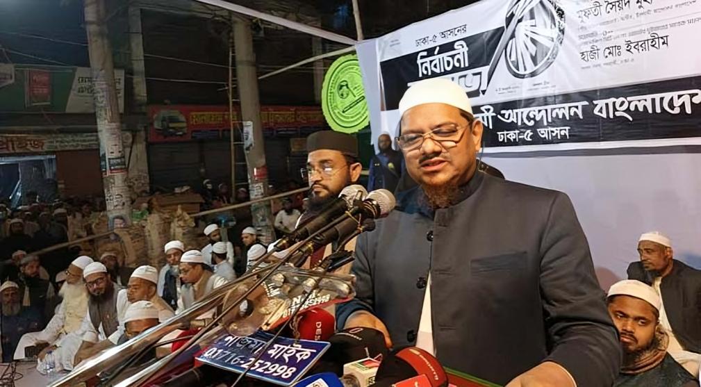 স্বাধীনতার বিনিময়ে দেশবাসী শুধু লাল-সবুজ পতাকা পেয়েছে: চরমোনাই